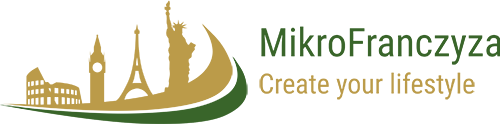 Mikro Franczyza